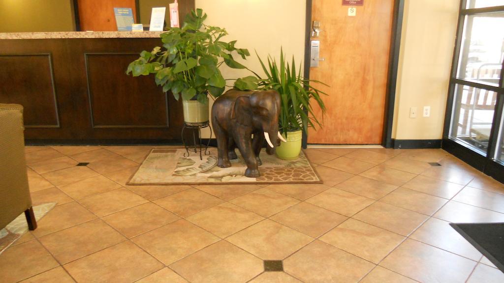 La Casa Inn & Suites-Middleboro Eksteriør billede